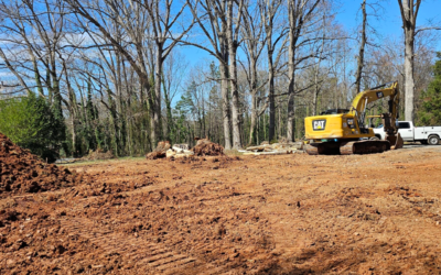 Project Update: Clearing and Prepping the Site